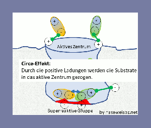 Animation Das aktive Zentrum eines Enzyms beeinflusst das Substrat. Verschiedene Wechselwirkungen zwischen Substrat und Enzym.