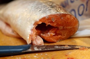 Bild: Fisch wird mit Messer bearbeitet. Bei der Verarbeitung der tierischen Zutaten besteht eine hohe Gefahr, Keime zu verbreiten. Es sollte daher ein hoher Hygienestandard eingehalten werden. (Quelle: pixabay)